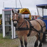 Inga bilar - förutom dom som måste finnas för tex sophämtning osv.. Resten sköts av hästar..