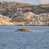 Vägbulor?